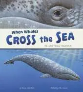 When Whales Cross the Sea: The Grey Whale Migration