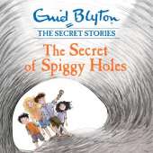 The Secret of Spiggy Holes: Book 2