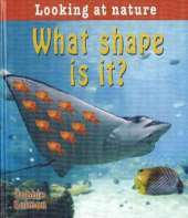 What Shape Is It