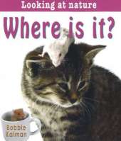 Where Is It