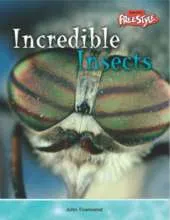 Incredible Creatures: Insects Hardback