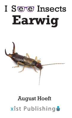 Earwig