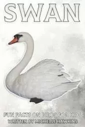 Swan: Fun Facts on Birds for Kids #29