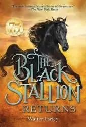 The Black Stallion Returns