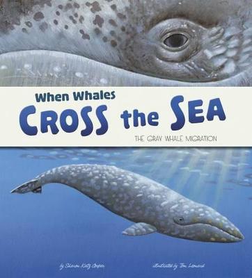 When Whales Cross the Sea: The Grey Whale Migration