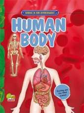 Human Body: Key stage 2