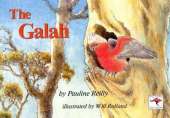 The Galah