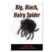 Big, Black, Hairy Spider