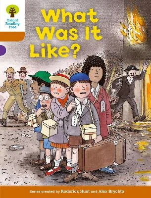 Oxford Reading Tree: Level 8: More Stories: What Was It Like?