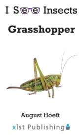 Grasshopper