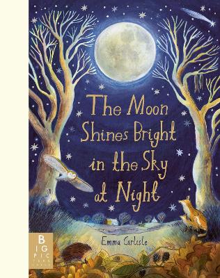 The Moon Shines Bright in the Sky at Night: A beautifully illustrated bedtime story filled with comfort, calm and the magic of nighttime