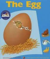 Egg