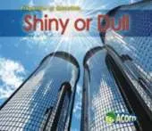 Shiny or Dull