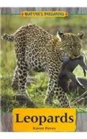 Leopards