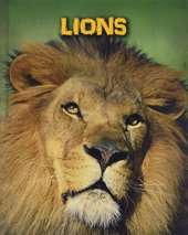 Living in the Wild: Big Cats Pack A of 5