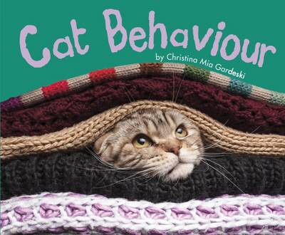 Cats, Cats, Cats Pack A of 4