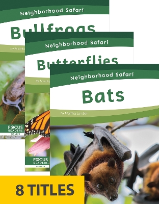 Neighborhood Safari (Set of 8)