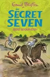 Secret Seven: Secret Seven Mystery: Book 9