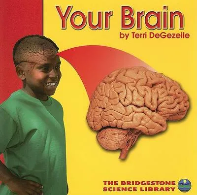 Your Brain