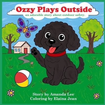 Ozzy Plays Outside: An adorably story about outdoor safety