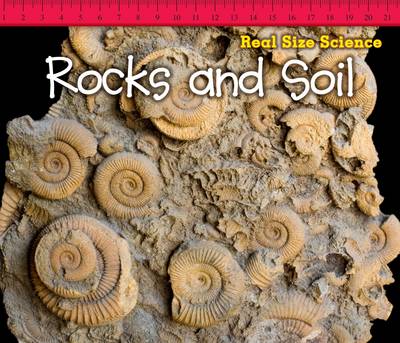 Rocks and Soil
