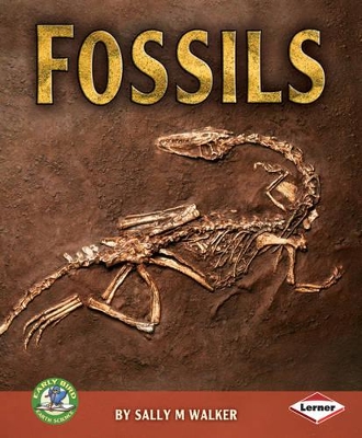 Fossils