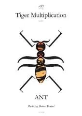 Numberella Maths Books - Tiger Multiplication, Level 2. Children from 10-14