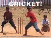 Cricket