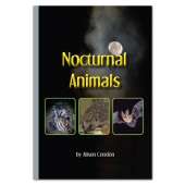 Nocturnal Animals