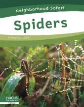 Spiders