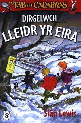 Dirgelwch Lleidr Yr Eira