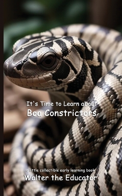 It's Time to Learn about Boa Constrictors