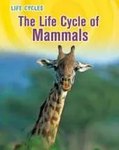 The Life Cycle of Mammals