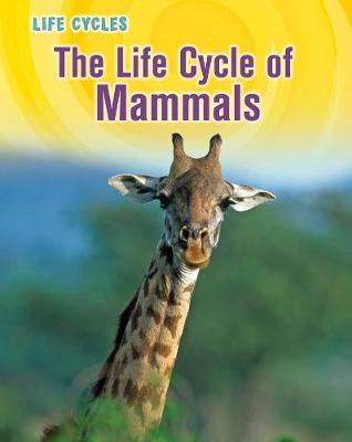 The Life Cycle of Mammals