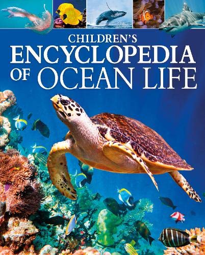 Children's Encyclopedia of Ocean Life: A Visual Guide to the Marine Life