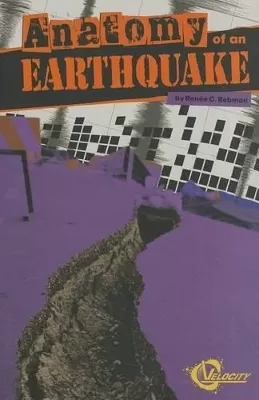 Anatomy of an Earthquake