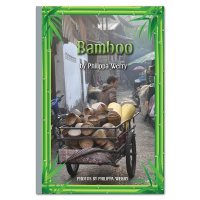 Bamboo