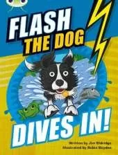 Bug Club Independent Fiction Year 3 Brown B Flash the Dog Dives In!