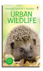 Urban Wildlife