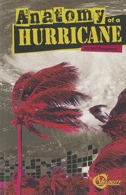 Anatomy of a Hurricane