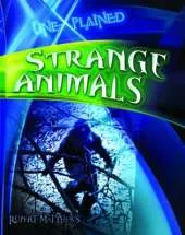 Strange Animals