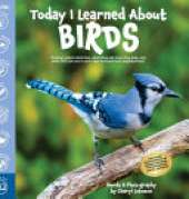 Today I Learned About Birds: Discover where birds live, what they eat, how they look, and what YOU can see in your own backyard and neighborhood.