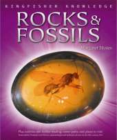 Rocks and Fossils