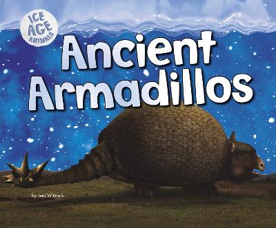 Ancient Armadillos