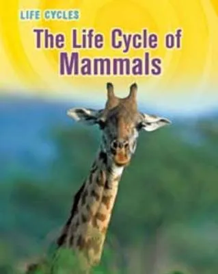 The Life Cycle of Mammals