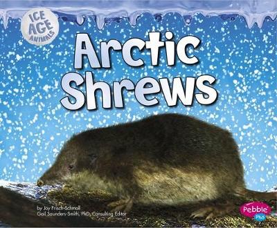 Ice Age Animals Pack A of 6