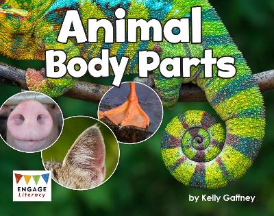 Animal Body Parts: LionCrest Education Pty Ltd