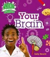 Human Body: Your Brain