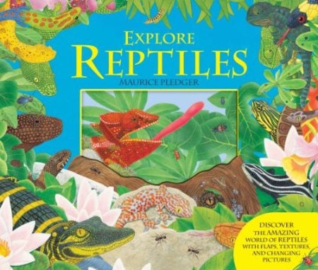 Explore Reptiles