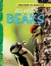 All About Beaks: Key stage 1